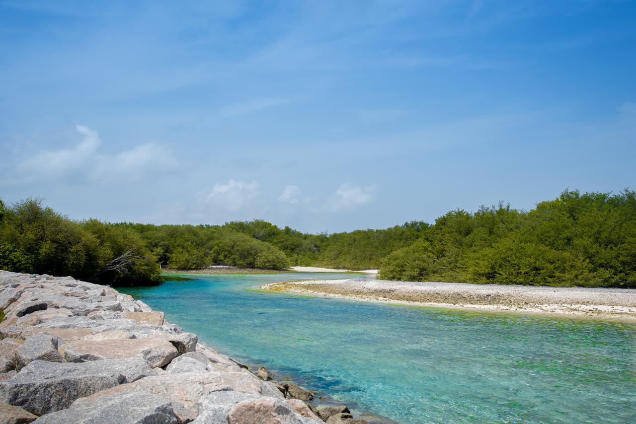 Reef Edge Thulusdhoo, Maldives Hotel Exterior photo